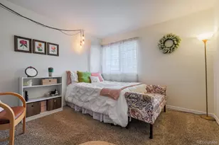 10678 Stone Creek Ct, Parker, CO 80134 - Photo 21