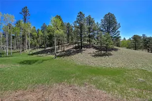 63 Star View Trail, Divide, CO 80814 - Photo 5
