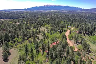 63 Star View Trail, Divide, CO 80814 - Photo 39