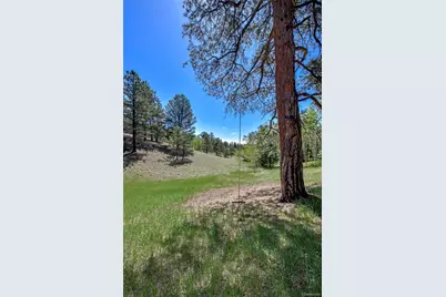 63 Star View Trail, Divide, CO 80814 - Photo 3