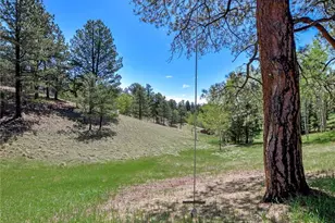 63 Star View Trail, Divide, CO 80814 - Photo 3