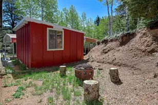 63 Star View Trail, Divide, CO 80814 - Photo 35