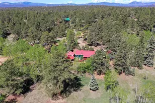 63 Star View Trail, Divide, CO 80814 - Photo 43