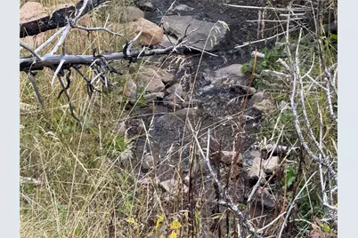 833 Huntington Lane, Fort Garland, CO 81133 - Photo 19