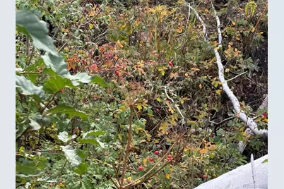 833 Huntington Lane, Fort Garland, CO 81133 - Photo 13