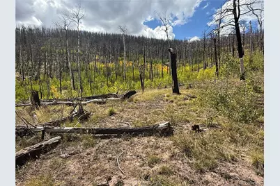 833 Huntington Lane, Fort Garland, CO 81133 - Photo 9