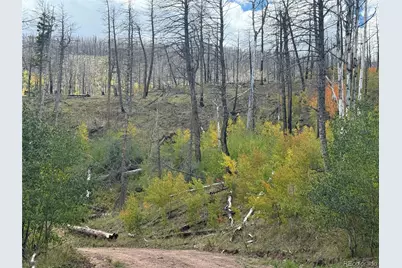 833 Huntington Lane, Fort Garland, CO 81133 - Photo 17