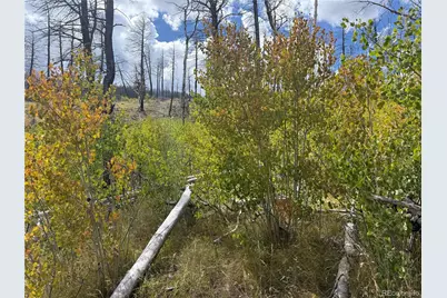 833 Huntington Lane, Fort Garland, CO 81133 - Photo 21