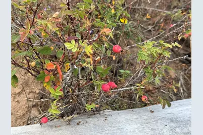 833 Huntington Lane, Fort Garland, CO 81133 - Photo 15