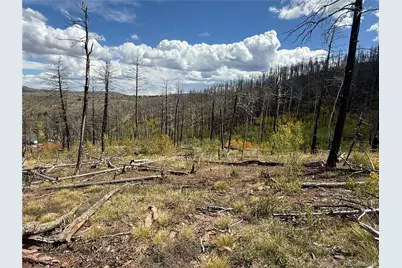 833 Huntington Lane, Fort Garland, CO 81133 - Photo 7