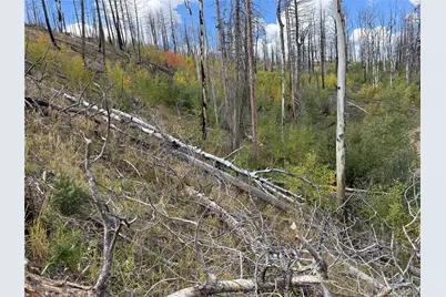 833 Huntington Lane, Fort Garland, CO 81133 - Photo 5
