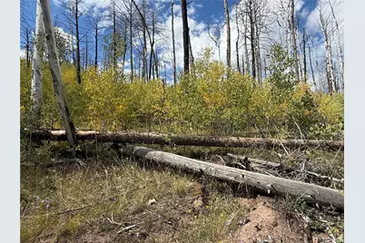 833 Huntington Lane, Fort Garland, CO 81133 - Photo 25