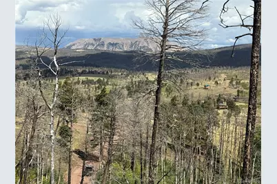 833 Huntington Lane, Fort Garland, CO 81133 - Photo 33