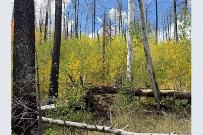 833 Huntington Lane, Fort Garland, CO 81133 - Photo 23