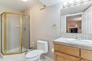 9109 Ironwood Way, Highlands Ranch, CO 80129 - Photo 41