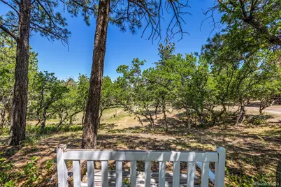 8223 Burning Tree Drive, Franktown, CO 80116 - Photo 31