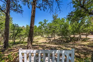 8223 Burning Tree Dr, Franktown, CO 80116 - Photo 31