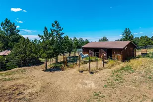 8223 Burning Tree Dr, Franktown, CO 80116 - Photo 45