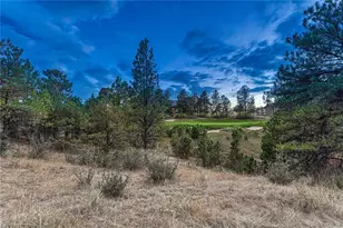 7998 Forest Keep Cir, Parker, CO 80134 - Photo 1