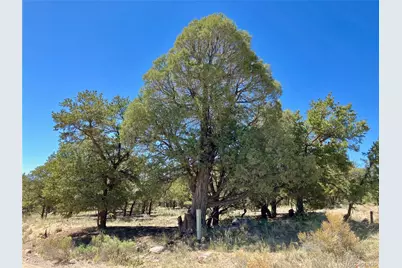 745 N Cliffwood, Crestone, CO 81131 - Photo 3