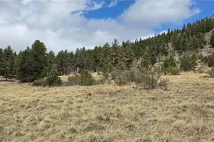 62430 US Hwy 285, Bailey, CO 80421 - Photo 1