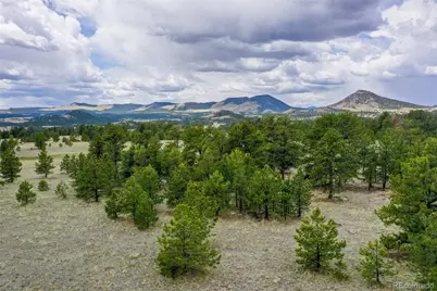000 Doe Valley Road, Guffey, CO 80820 - Photo 1