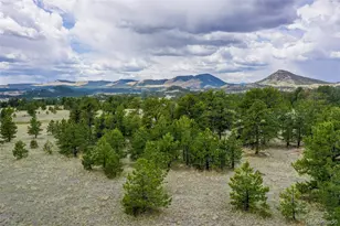 000 Doe Valley Rd, Guffey, CO 80820 - Photo 1