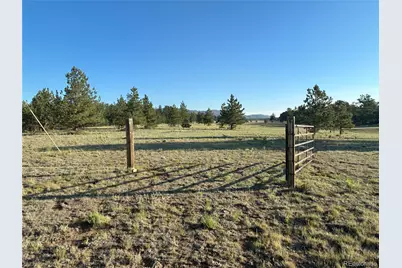 000 Doe Valley Road, Guffey, CO 80820 - Photo 3