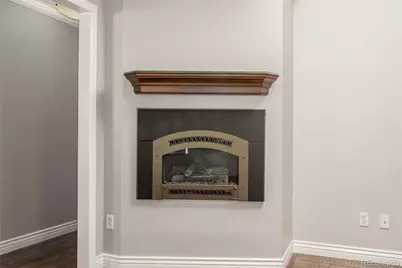 2424 S Jasmine Street, Denver, CO 80222 - Photo 9