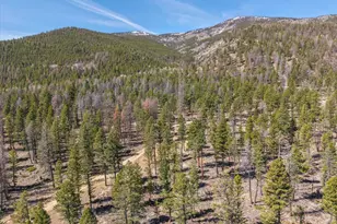 18898 Monte Escondido Ct, Buena Vista, CO 81211 - Photo 9