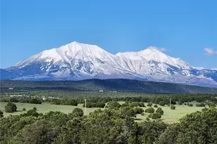 517 Trailsend Rd, Walsenburg, CO 81089 - Photo 3