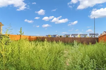 691 N Allium Street, Watkins, CO 80137 - Photo 25