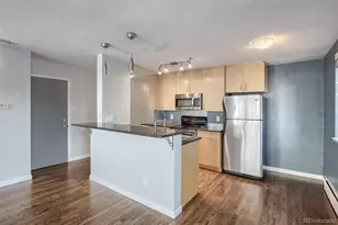 1336 N Logan Street, Denver, CO 80203 - Photo 7