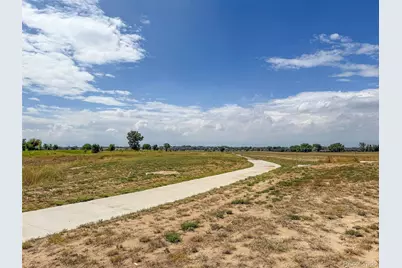 8902 Ferncrest Street, Longmont, CO 80504 - Photo 27