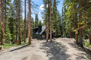 46 Silver Creek Rd, Idaho Springs, CO 80452 - Photo 25