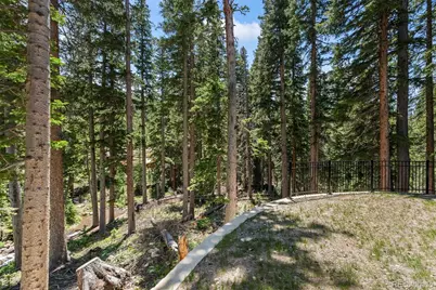46 Silver Creek Road, Idaho Springs, CO 80452 - Photo 31