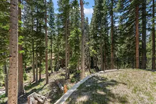 46 Silver Creek Rd, Idaho Springs, CO 80452 - Photo 31