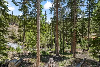 46 Silver Creek Road, Idaho Springs, CO 80452 - Photo 33