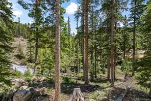 46 Silver Creek Rd, Idaho Springs, CO 80452 - Photo 33