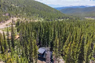 46 Silver Creek Rd, Idaho Springs, CO 80452 - Photo 41