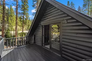 46 Silver Creek Rd, Idaho Springs, CO 80452 - Photo 17