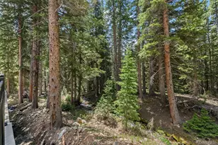 46 Silver Creek Rd, Idaho Springs, CO 80452 - Photo 29