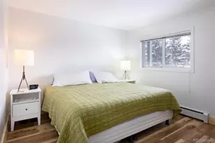 10000 Ryan Gulch Rd, Silverthorne, CO 80498 - Photo 13