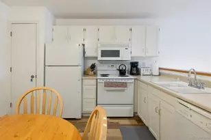 10000 Ryan Gulch Rd, Silverthorne, CO 80498 - Photo 9