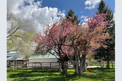 58590 Pe 3/10 Road, Collbran, CO 81624 - Photo 3