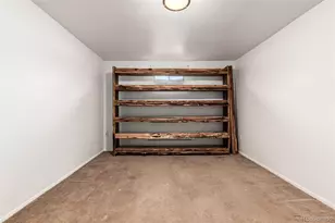 335 S Monaco St Pkwy, Denver, CO 80224 - Photo 17