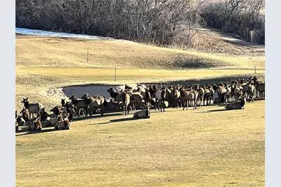 1118 Berganot Trail, Castle Pines, CO 80108 - Photo 43