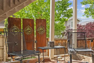10528 Applebrook Circle, Highlands Ranch, CO 80130 - Photo 47