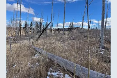 Lot 2397 Petito Drive, Fort Garland, CO 81133 - Photo 13