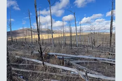 Lot 2397 Petito Drive, Fort Garland, CO 81133 - Photo 3